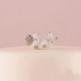 Cake Topper Gatto Bianco e Grigio